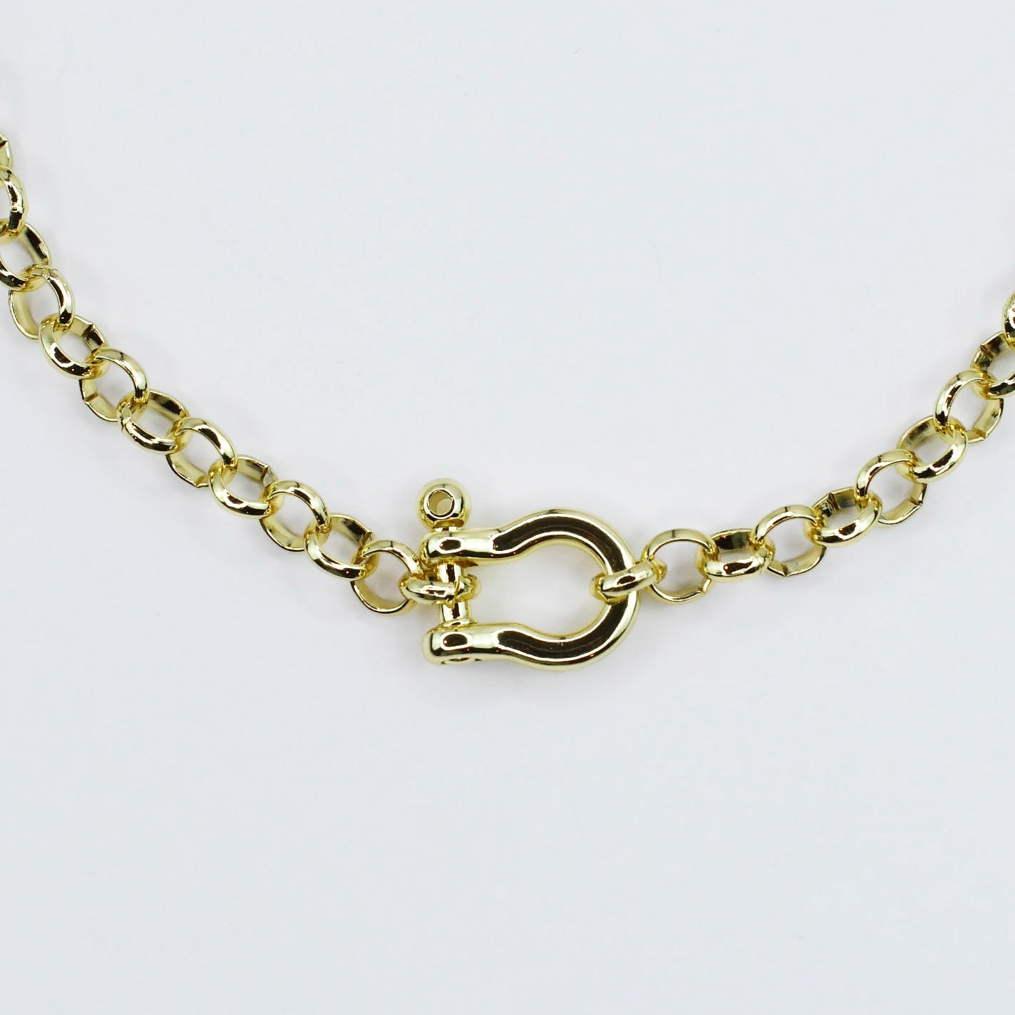 Golden Link Clasp Necklace