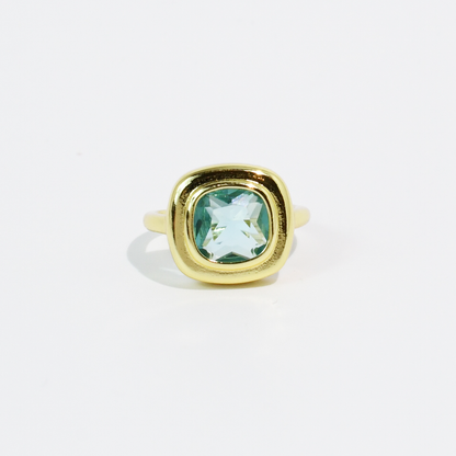 Garden Ring Mint Cushion