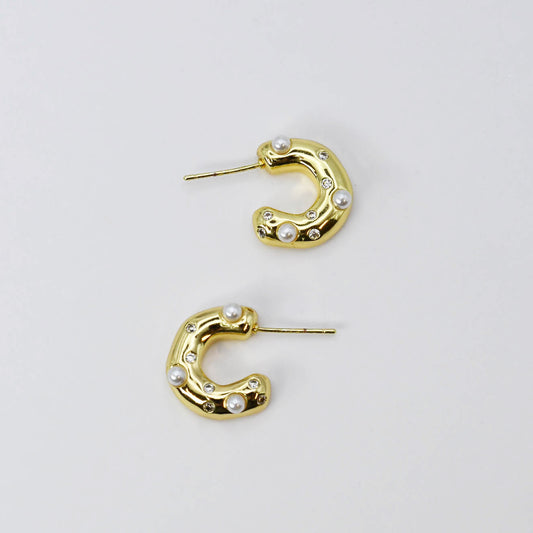 Gleaming C Earrings D6