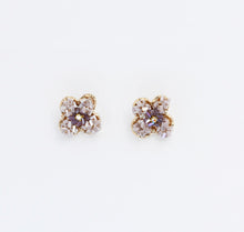 Load image into Gallery viewer, Violeta Beaded Stud D39
